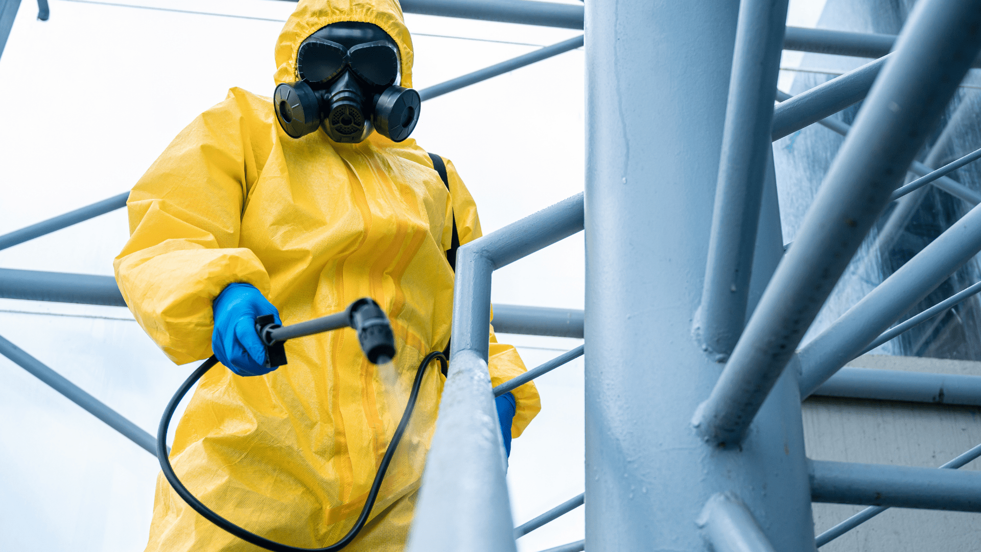 Covid disinfection Service 