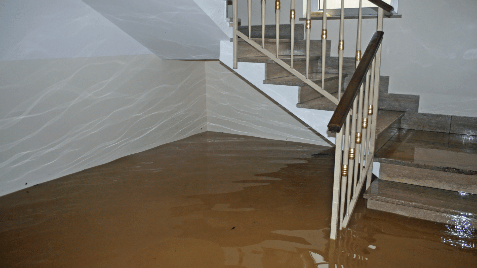 Flood Restoration Service