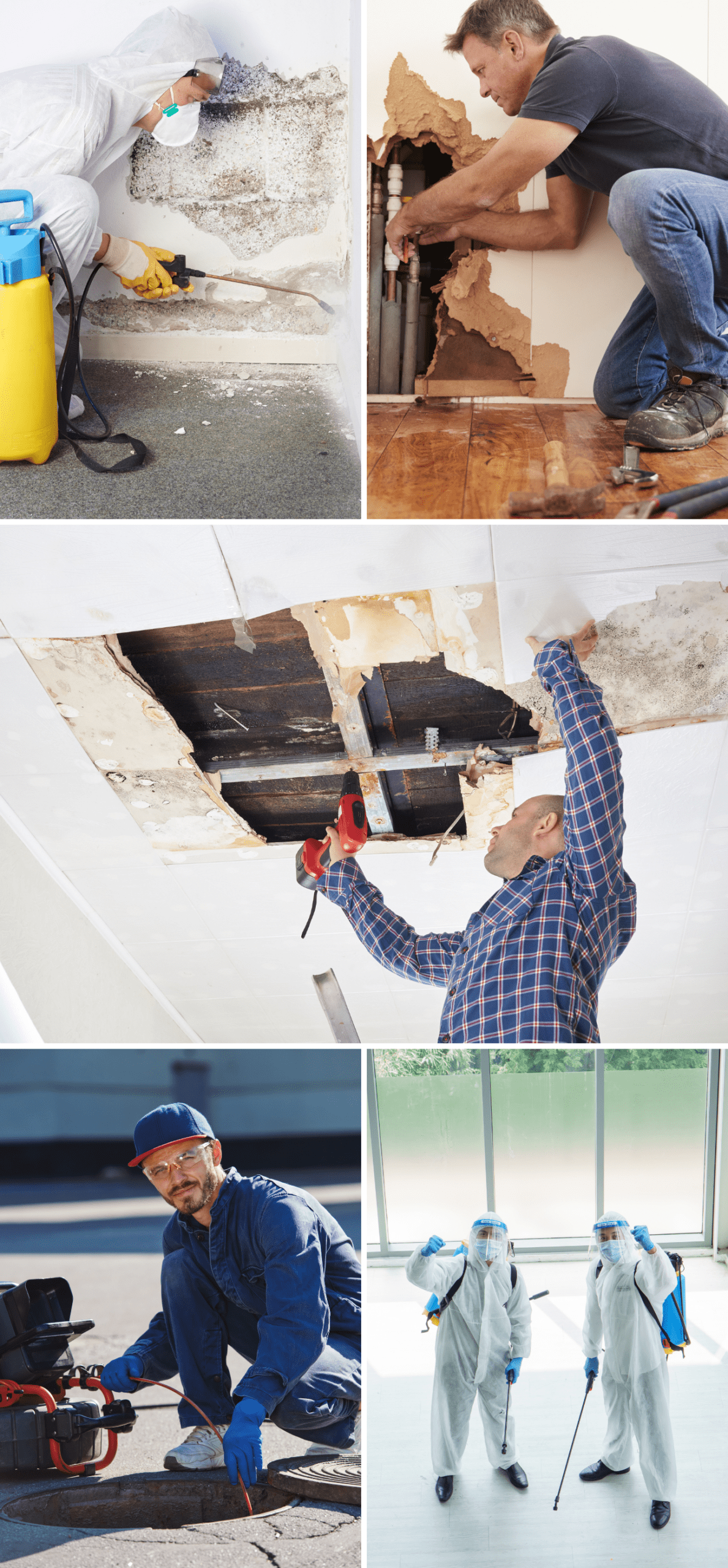 protech water damage restoration