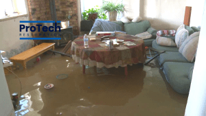 Best Ways to Prevent Water Damage and Mold in 2023