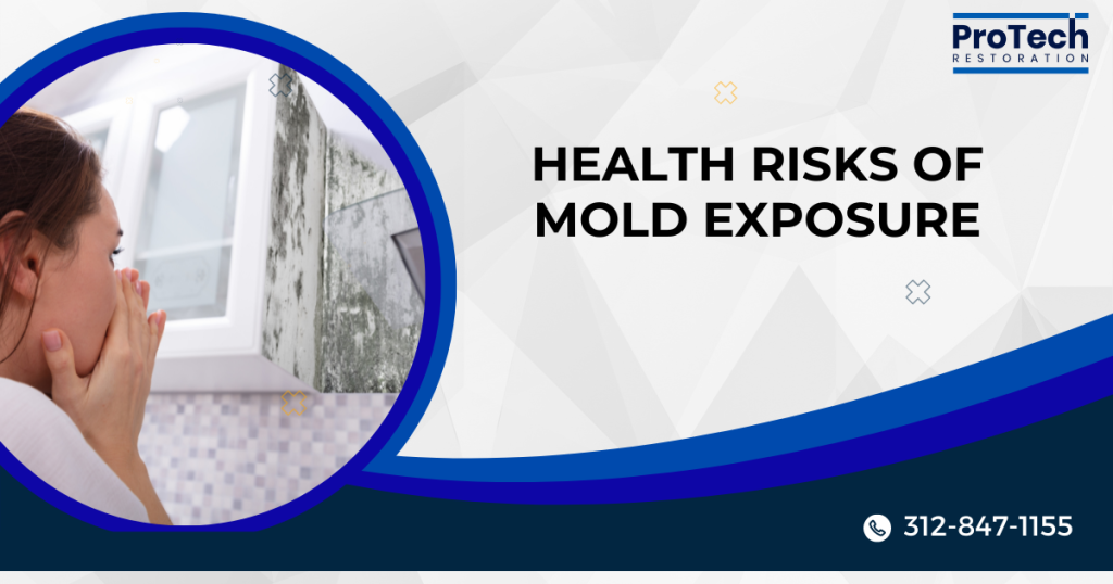 Risks of Mold Exposure