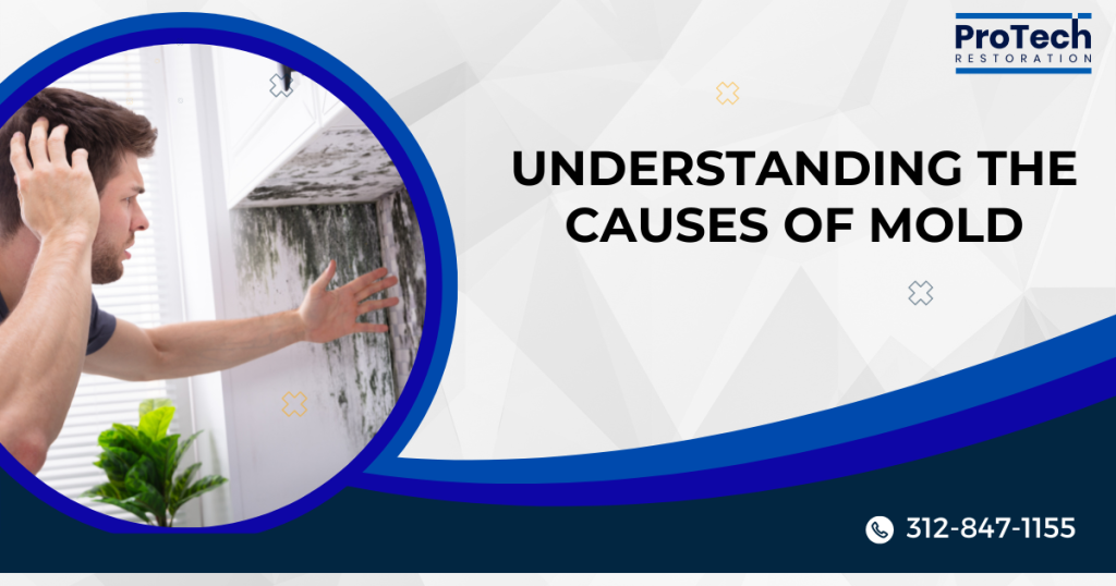 the Causes of Mold
