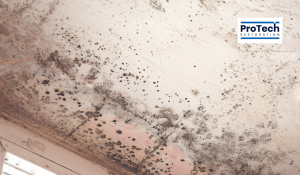Visual cues for water damage