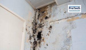 Visual cues for water damage