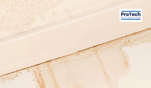 Visual cues for water damage