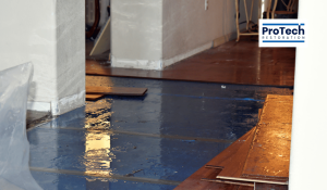 Visual cues for water damage