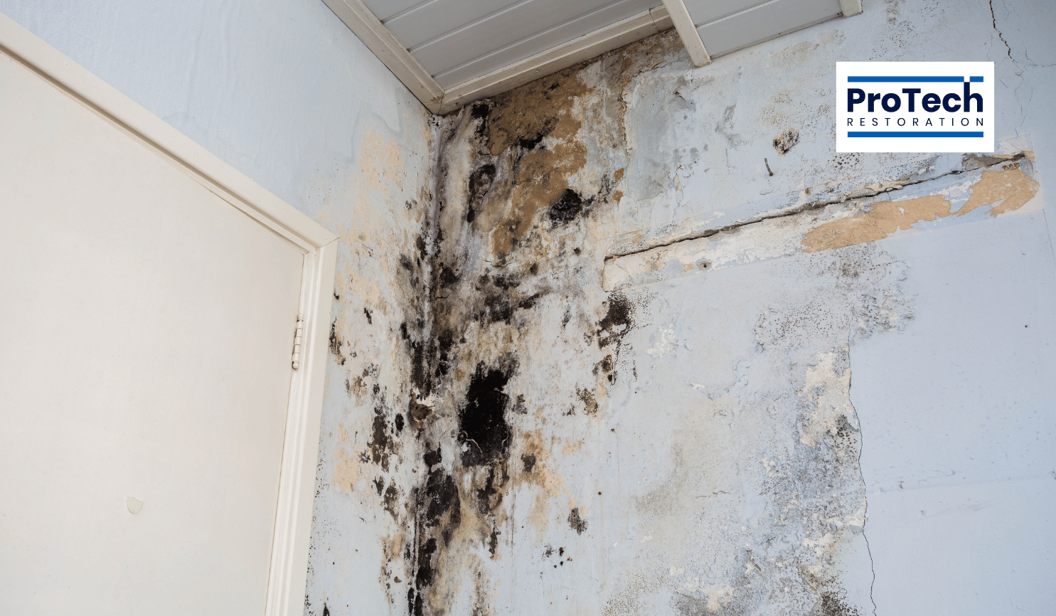 Discoloration, Musty odors, Peeling paint