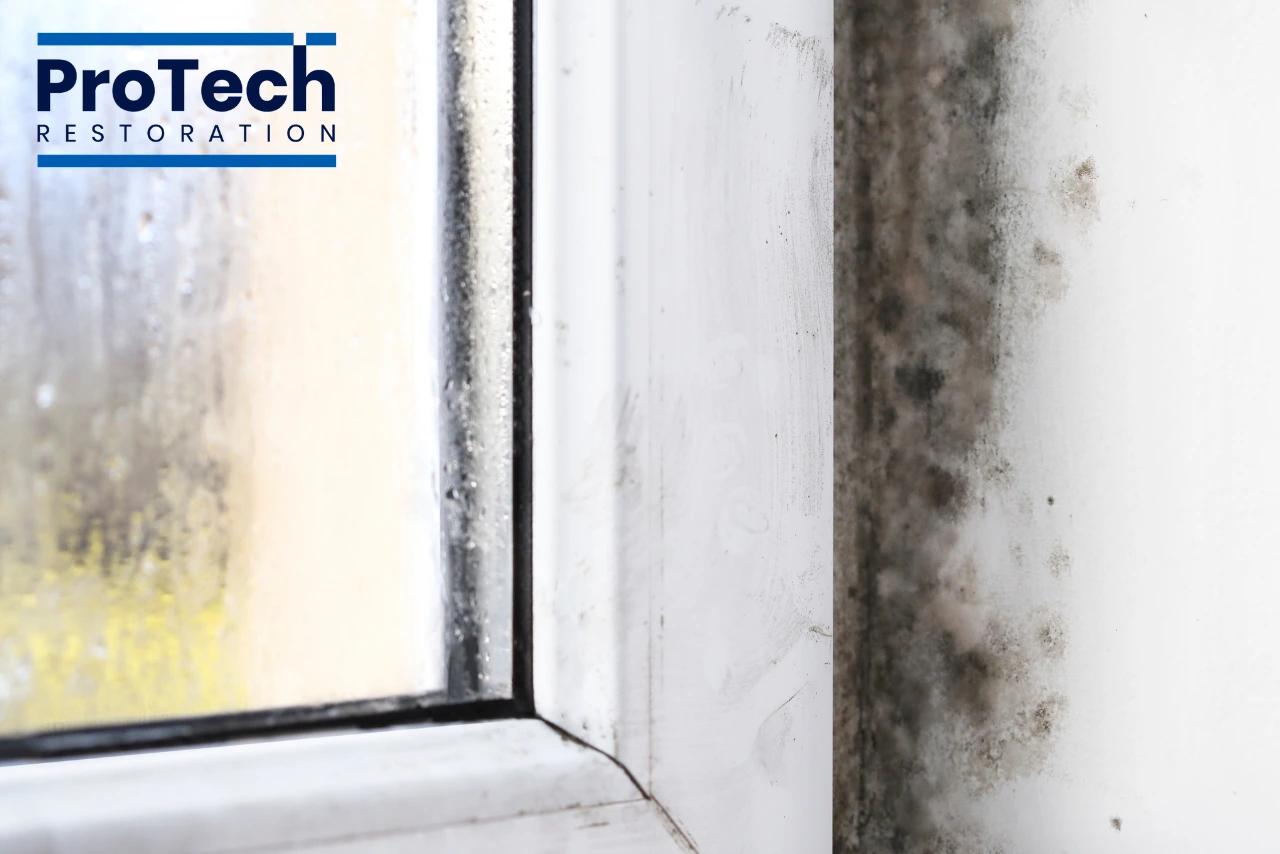 Smoke & Soot Damage Restoration in Hoffman Estates