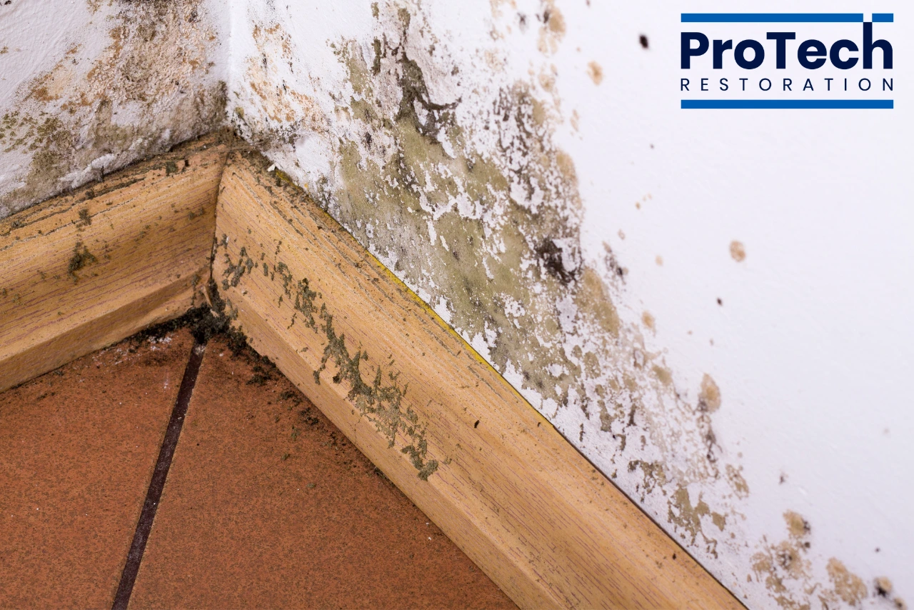 Smoke & Soot Damage Restoration in Arlington Heights