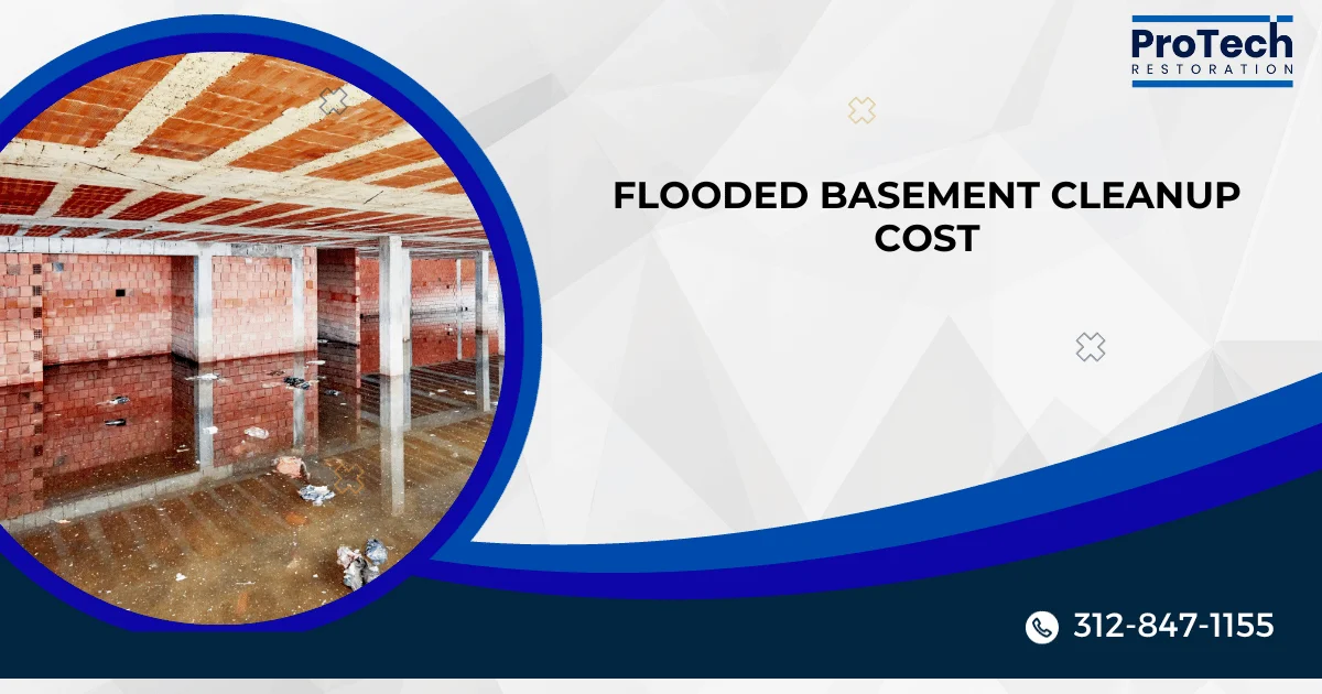 Basement Cleanup