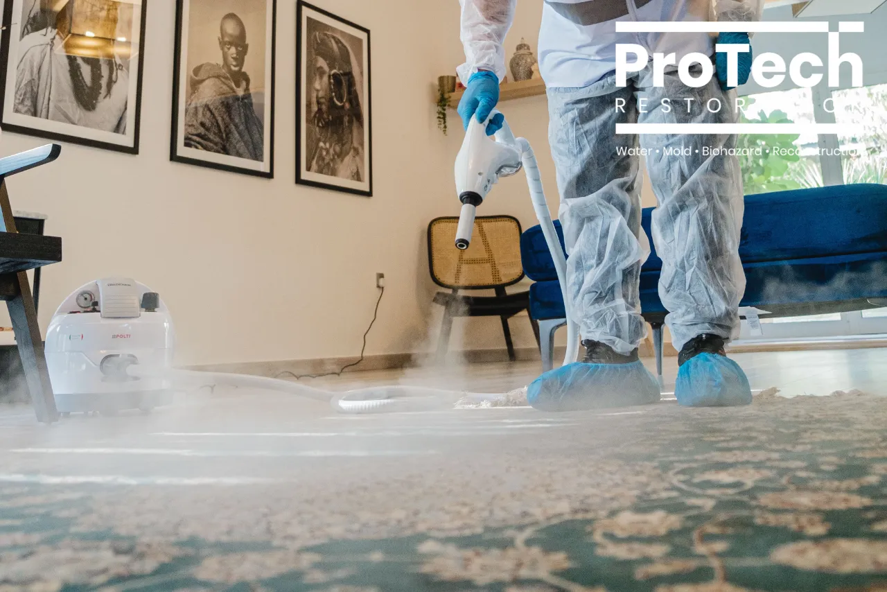 Carpet Cleaning in Morton Grove Your Local Solution