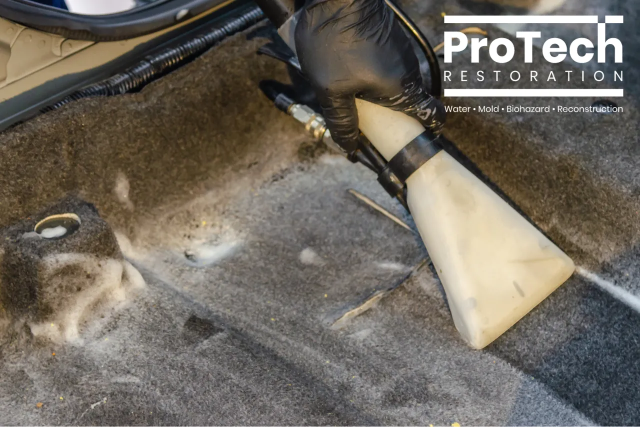 Premier Carpet Cleaning in Northbrook, Illinois
