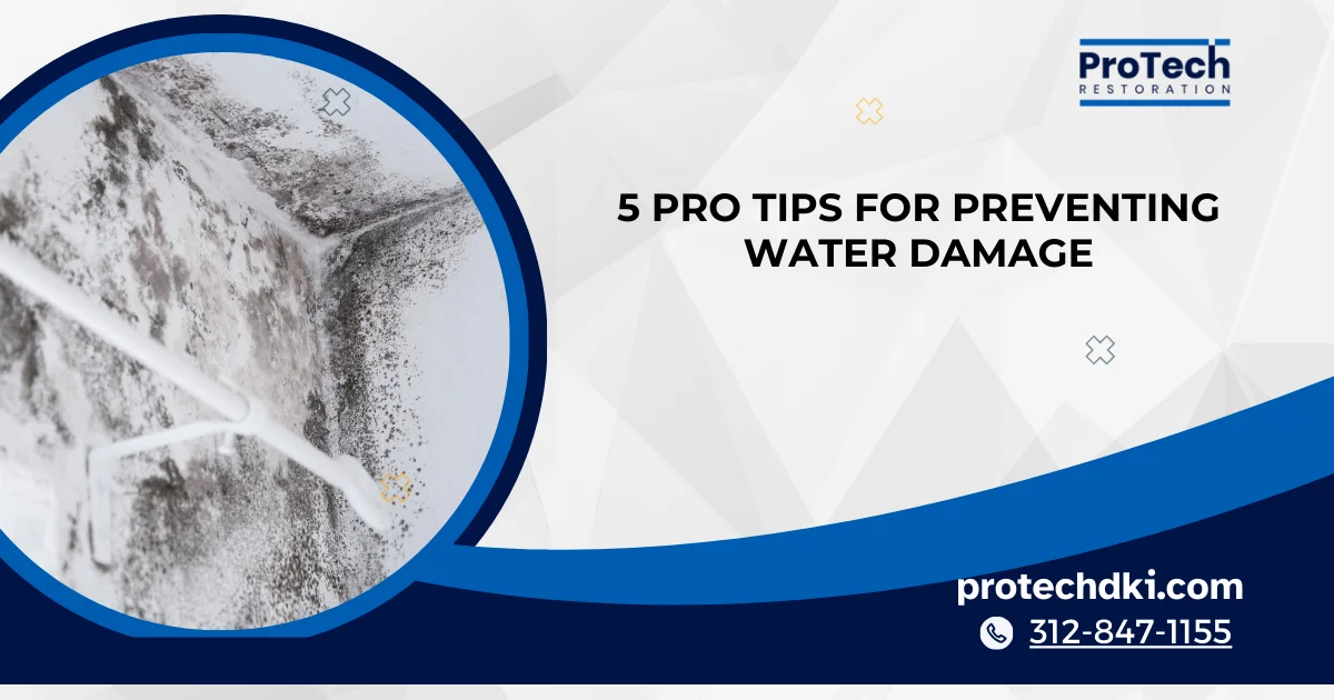 5 Pro Tips for Preventing Water Damage in Your Home 