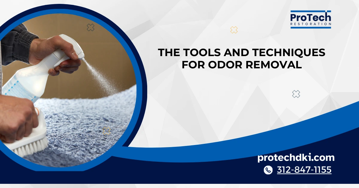 Advanced Carpet Cleaning: Understanding the Tools and Techniques for Odor Removal