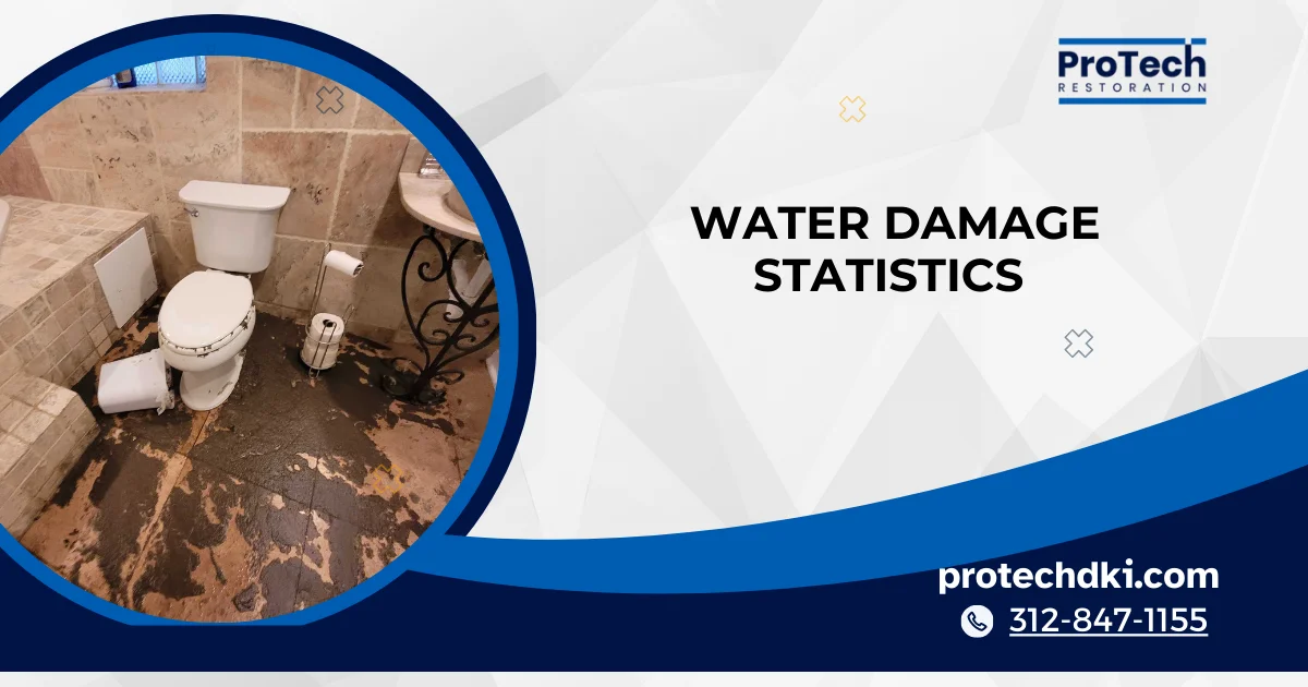 Is Your Neighborhood At Risk A Look at [region]_s Water Damage Statistics