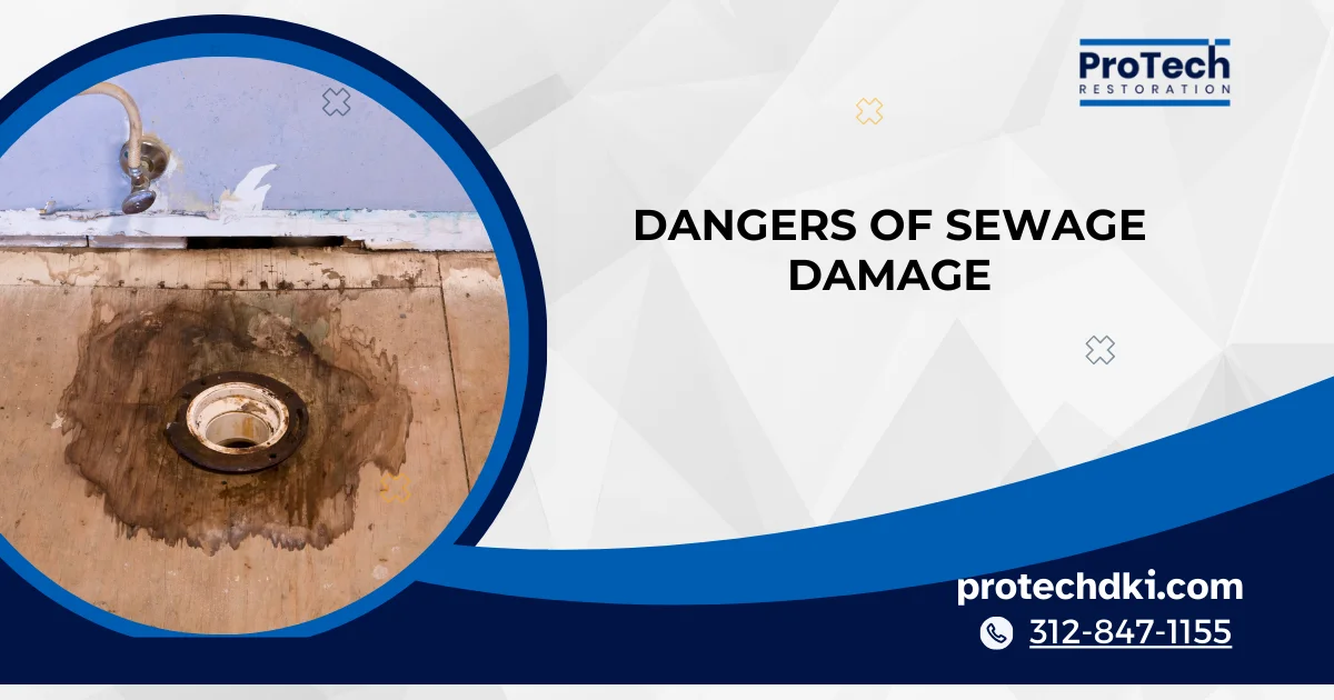 Protech Restoration’s Role in Mitigating Ecological Dangers of sewage damage