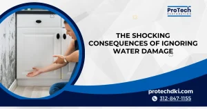 The Shocking Consequences of Ignoring Water Damage 