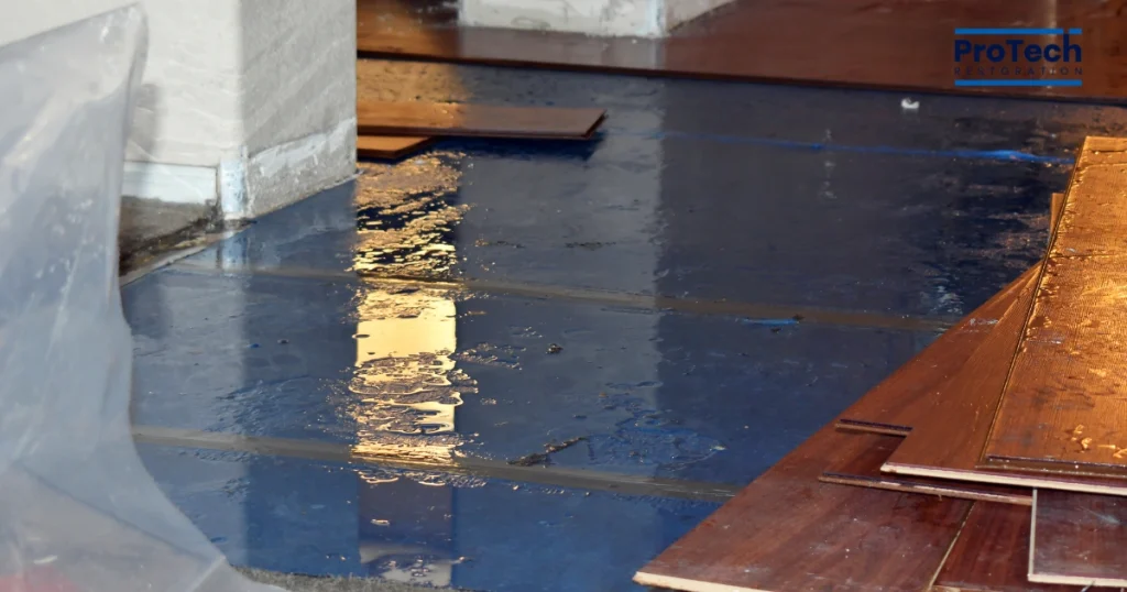 best water damage restoration in Chicago